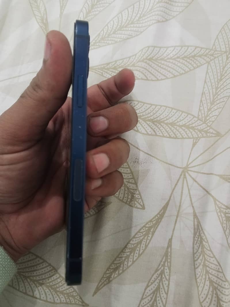 iphone 12 6