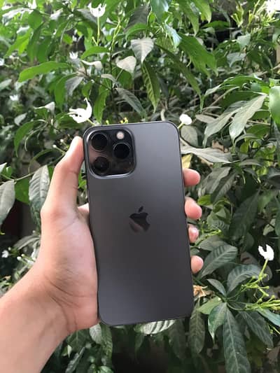 iphone 13 pro max 256 gb exchange or sell