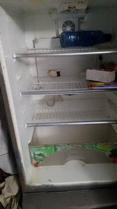 Used frig for sale