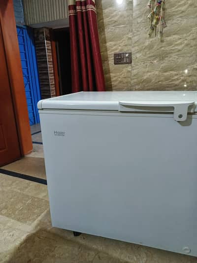 Haier Single Door Freezer
