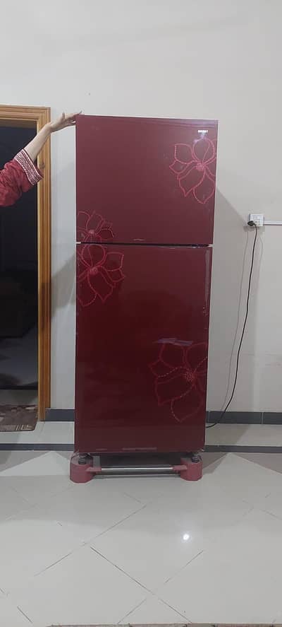 glass door fridge