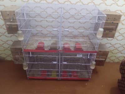 Iron foldable cages/ pinjra