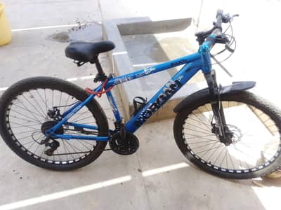 Morgan mountain bike