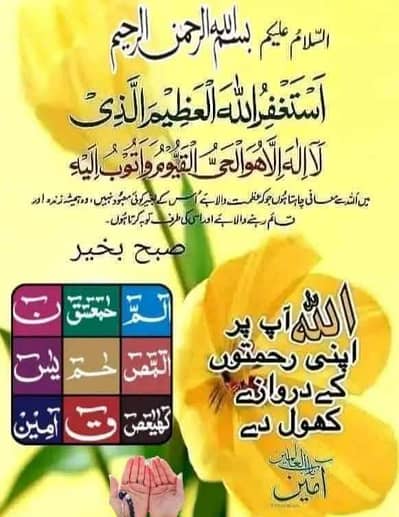 urgent Cook chahiy naspak society