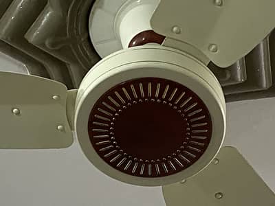 Ceiling Fan for sale cooper