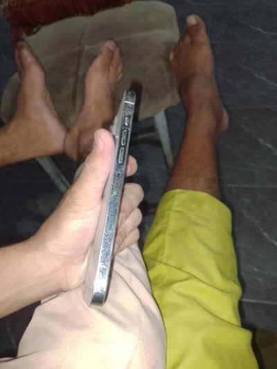 13 promax