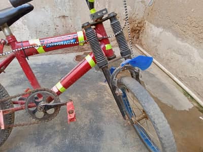 4/8 years cycle available