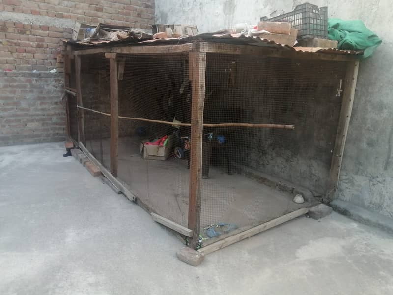 Pinjara 1