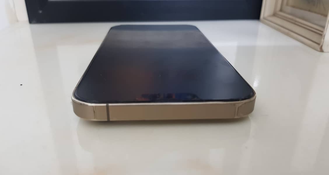 Apple iPhone 13 Pro Max 1