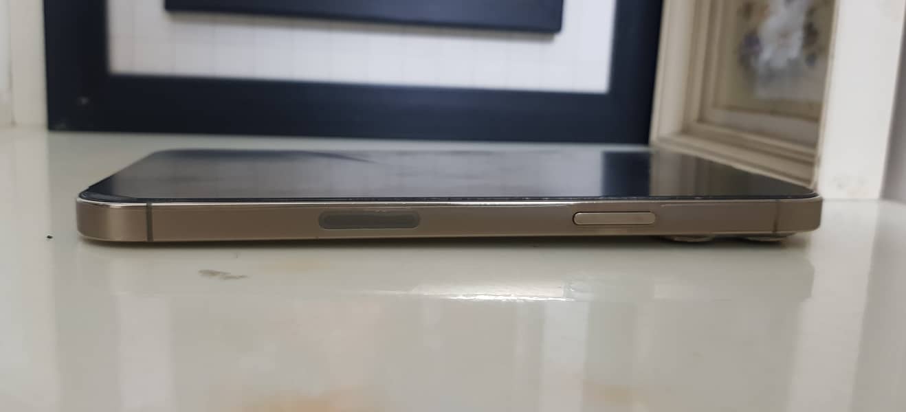 Apple iPhone 13 Pro Max 2