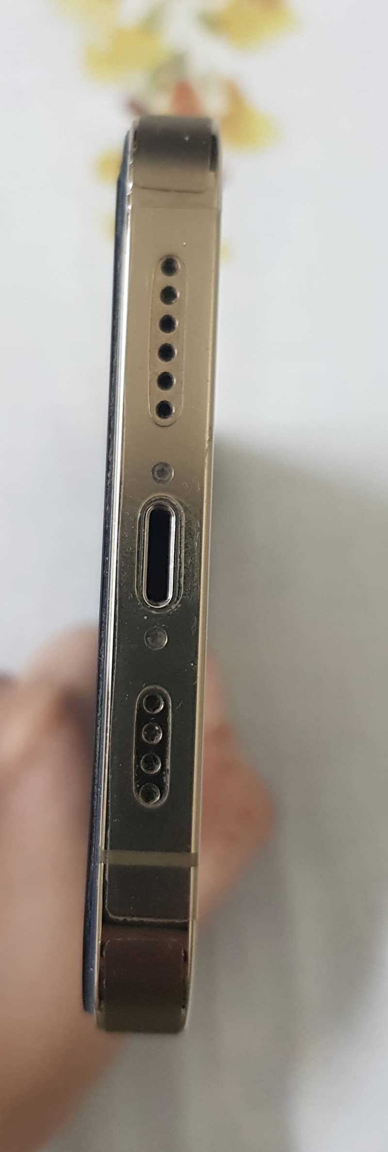 Apple iPhone 13 Pro Max 4