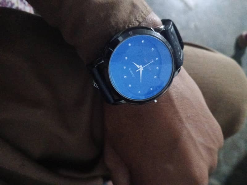 Expensive Watch 2
