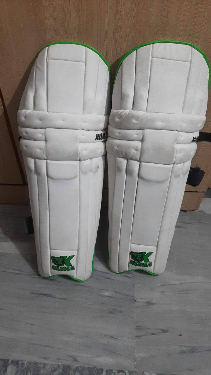 cricket kit 1