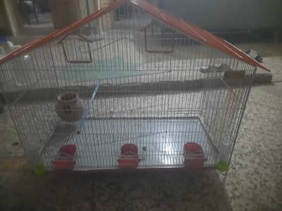 Bird Cage pinjra