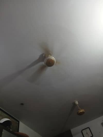 Ceiling fan 220v
