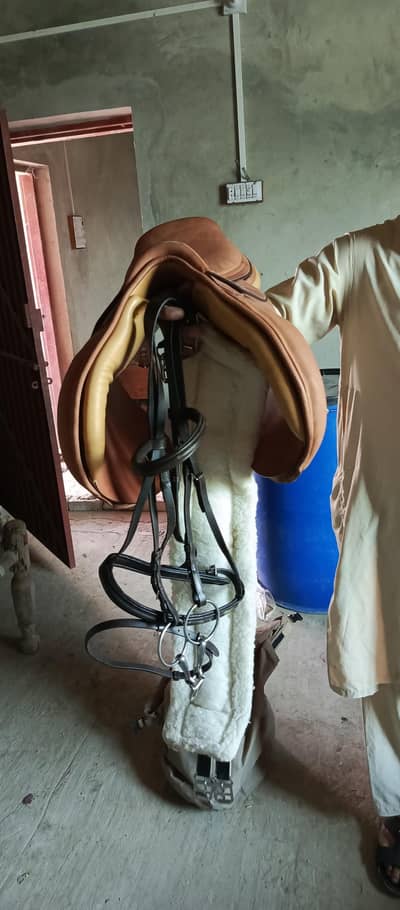saddle set for sale