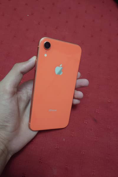 i phone XR