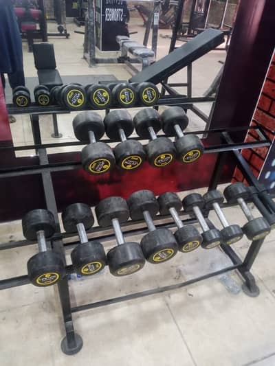 Full Gym Equipment Setup Available Urgent Sale Best Price