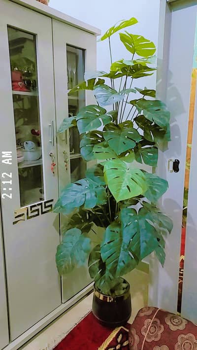 plant pot