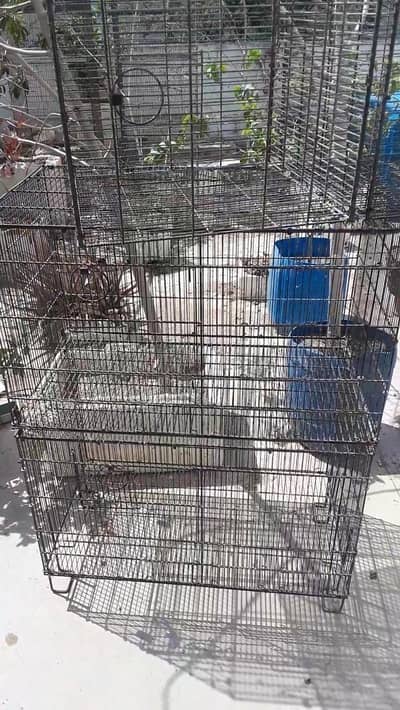 4 Port bird breeding cage-heavy duty|vertical setup