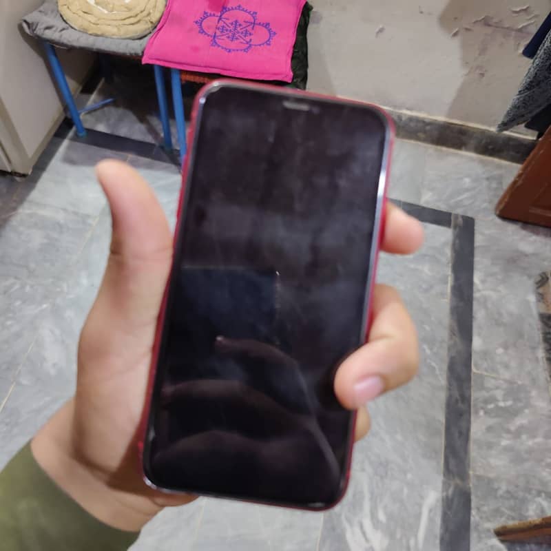 iPhone 11 0