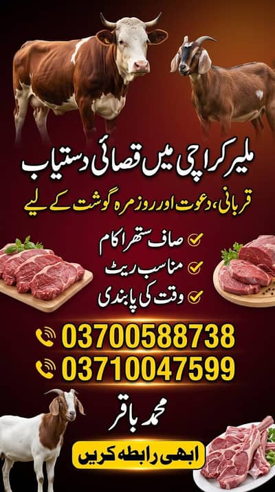 qasab available