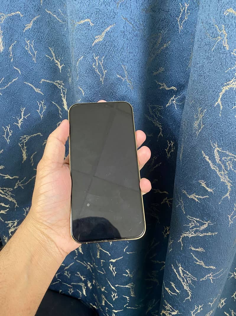 Iphone 12 pro max 1
