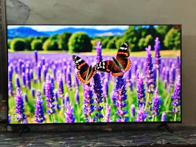 LCD 50 inch