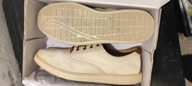 Hotter Rockingham Canvas Sneakers Size 11 / 46 - UK Original - 7999