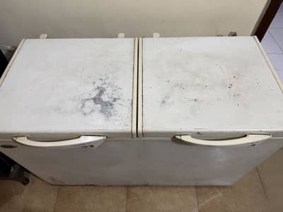 Waves 2 door freezer