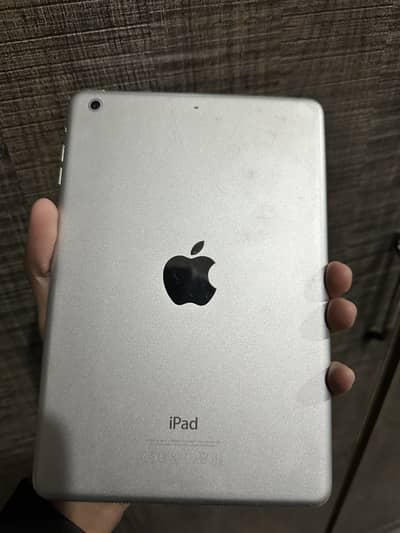 iPad mini 2 panel problem
