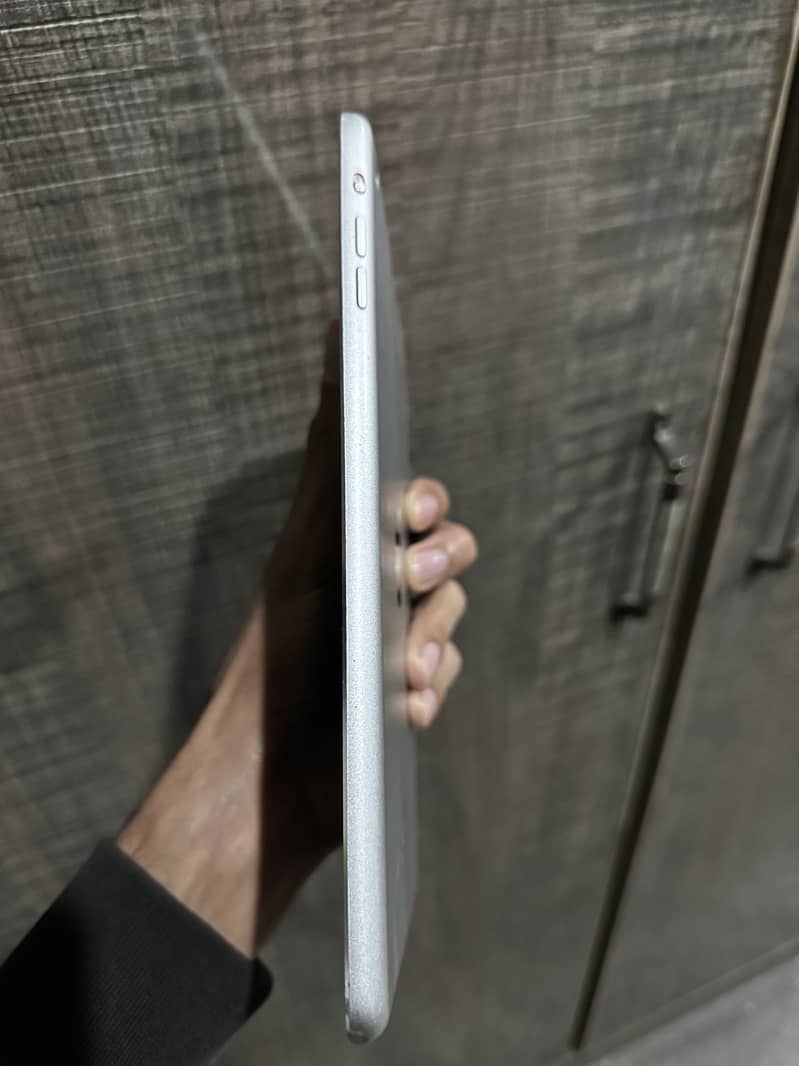 iPad mini 2 panel problem 1
