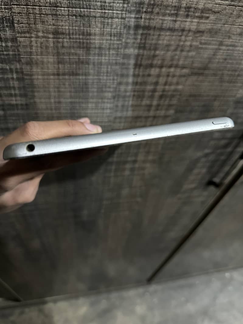 iPad mini 2 panel problem 2