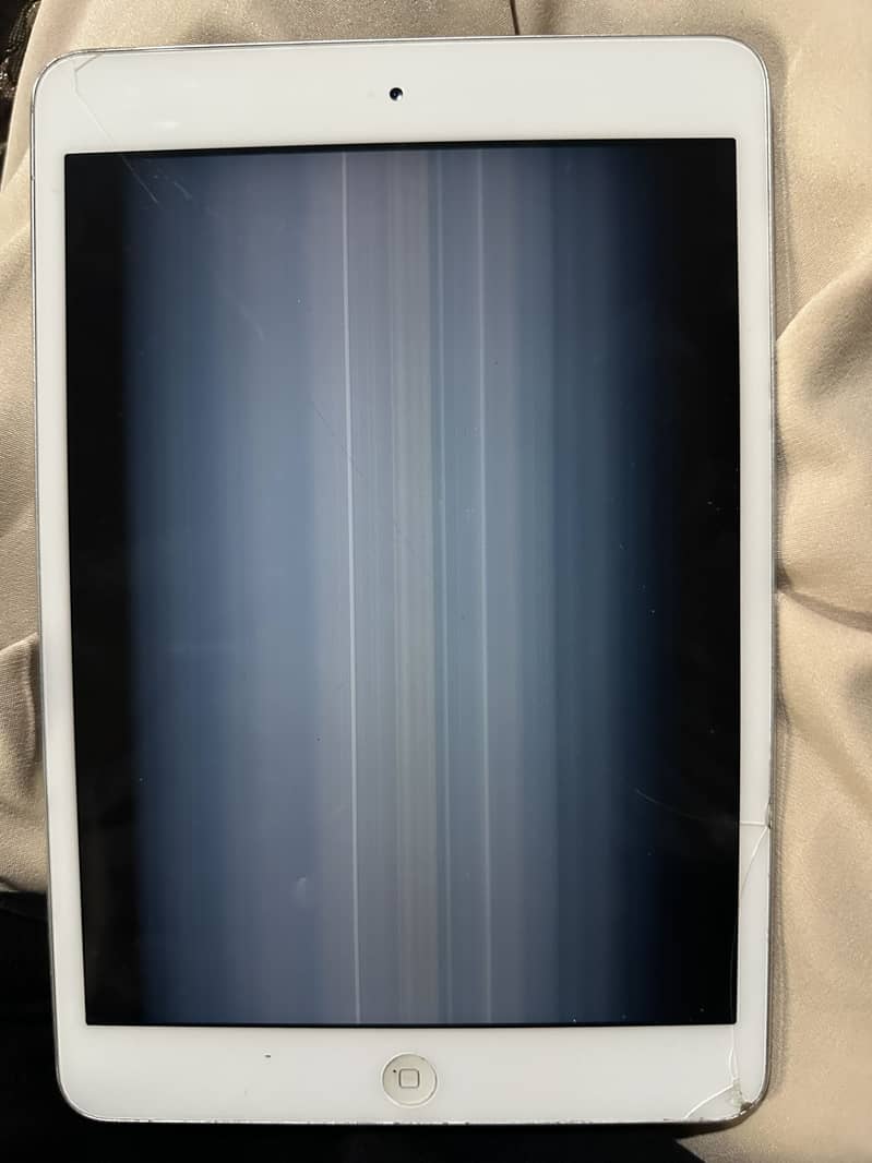 iPad mini 2 panel problem 3