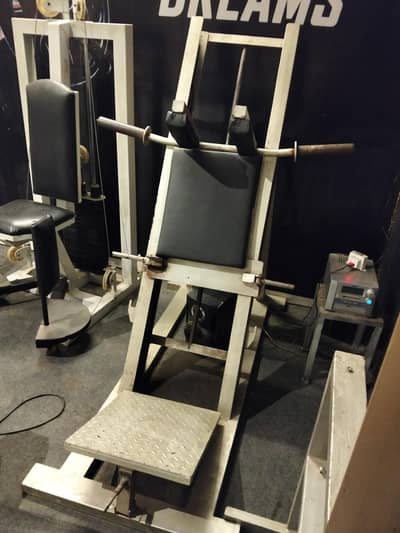 Gym Machine for Sale - Hack Squat Leg Exercise