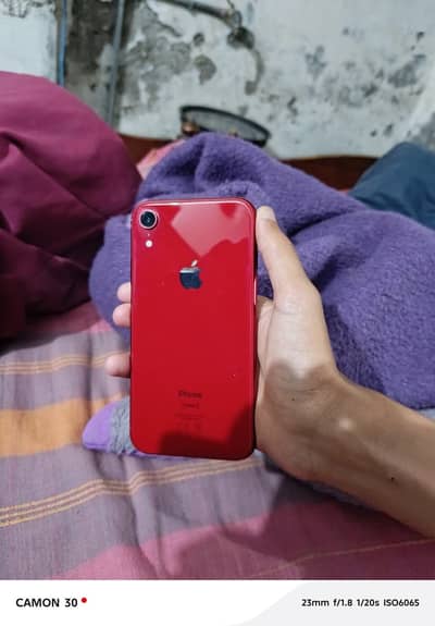 iPhone XR || 64GB