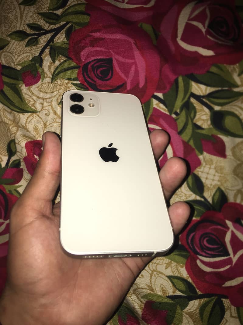 iPhone 12 1