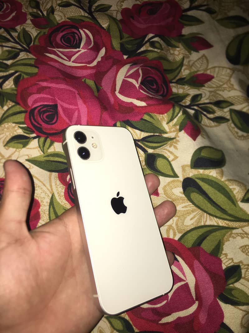 iPhone 12 4