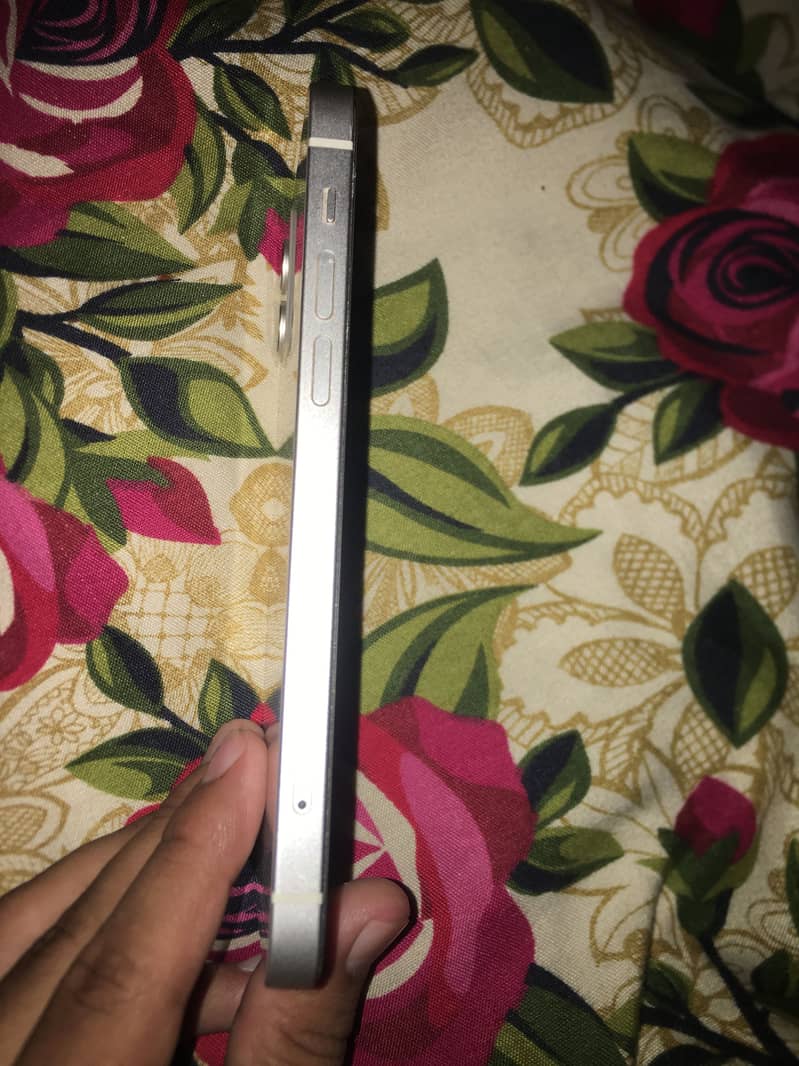 iPhone 12 5