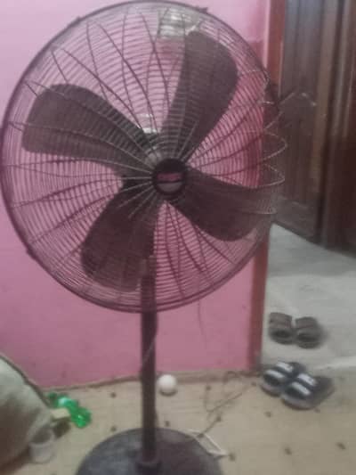 Onex fans