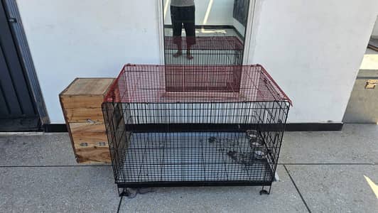 Birds cage
