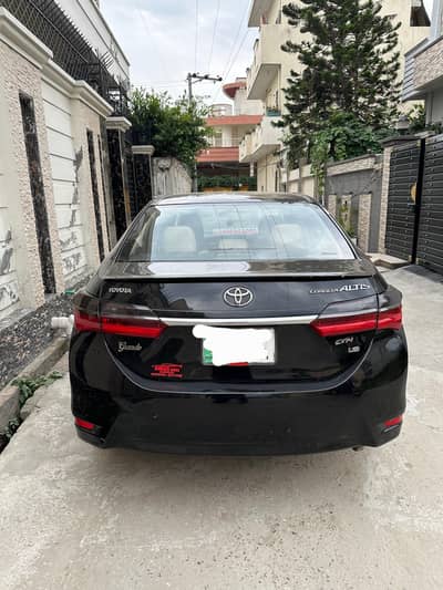 Altis grande