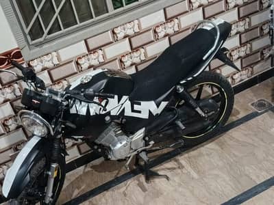 Yamaha ybr125 cc