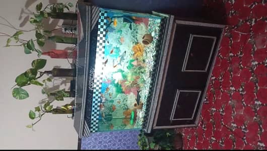 aquarium