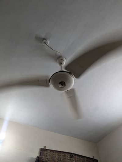 Royel fan 56 inch original copper
