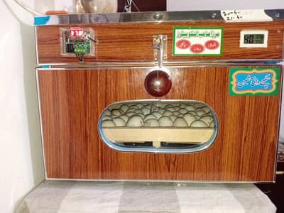 Manual Egg Incubator for Sale