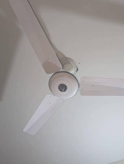 GFC  ceiling fan