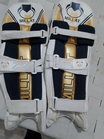 cricket pads, helmet, gloves ,thie pads