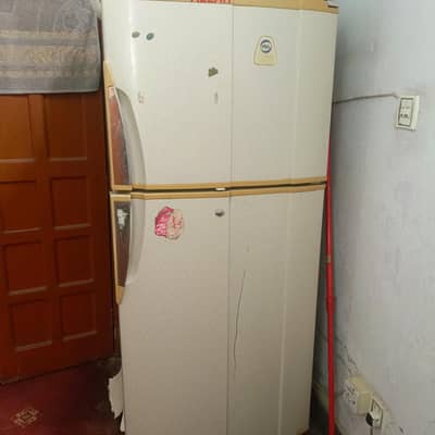 Pell double door fridge