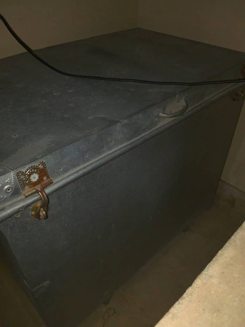 trunk 3